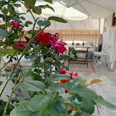 Dominik * Skala (Patmos)