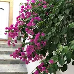 Dominik Διαμέρισμα *