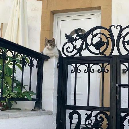 Διαμέρισμα Dominik Σκάλα