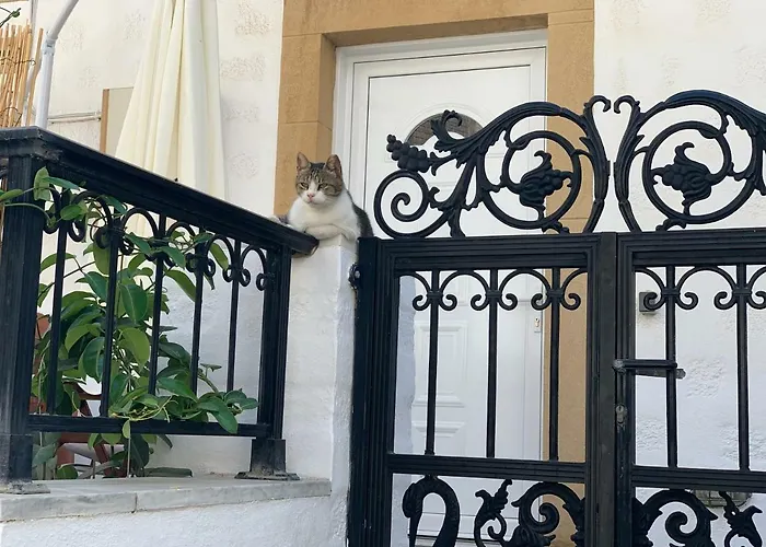 아파트 Dominik 스칼라